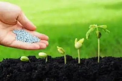 fertilizer1