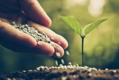 fertilizer2