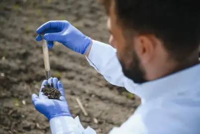soil1